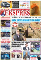 ANADOLU EKSPRES